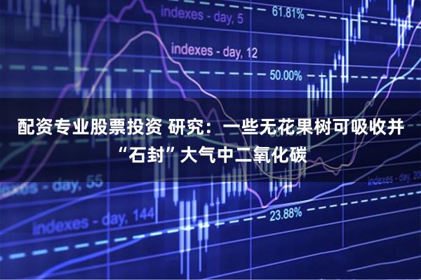 配资专业股票投资 研究：一些无花果树可吸收并“石封”大气中二氧化碳