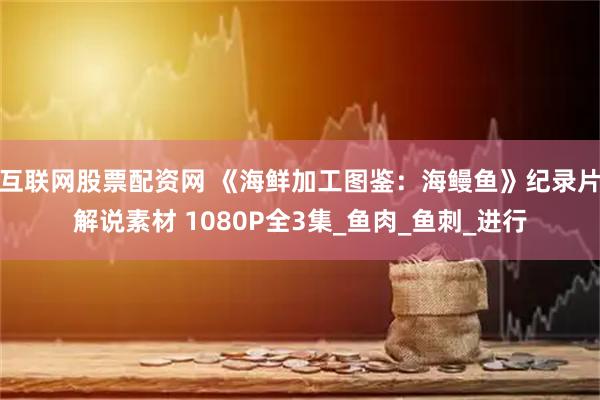 互联网股票配资网 《海鲜加工图鉴：海鳗鱼》纪录片解说素材 1080P全3集_鱼肉_鱼刺_进行