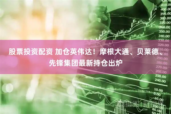 股票投资配资 加仓英伟达！摩根大通、贝莱德、先锋集团最新持仓出炉
