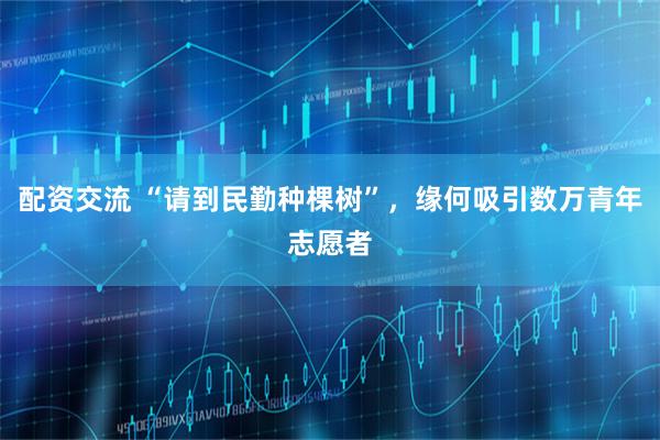 配资交流 “请到民勤种棵树”，缘何吸引数万青年志愿者